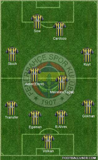 Fenerbahçe SK Formation 2013