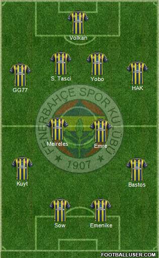 Fenerbahçe SK Formation 2013