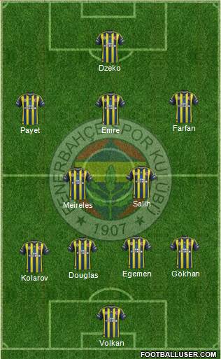 Fenerbahçe SK Formation 2013