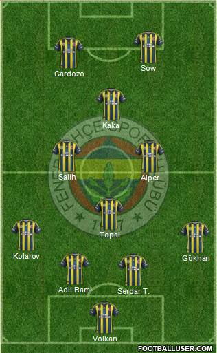 Fenerbahçe SK Formation 2013