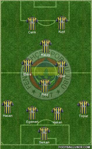 Fenerbahçe SK Formation 2013