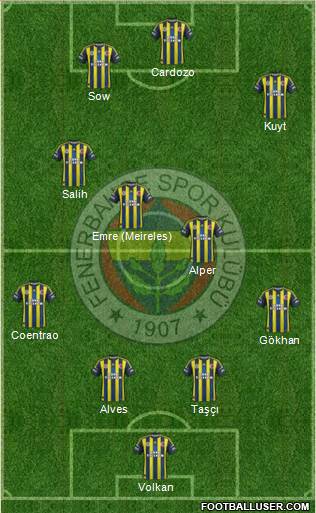 Fenerbahçe SK Formation 2013