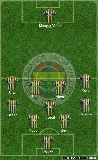 Fenerbahçe SK Formation 2013