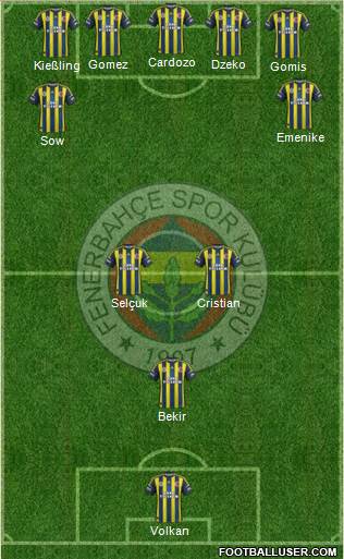 Fenerbahçe SK Formation 2013