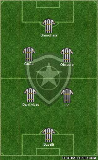 Botafogo FR Formation 2013