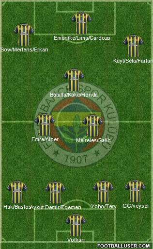 Fenerbahçe SK Formation 2013