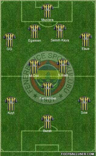 Fenerbahçe SK Formation 2013