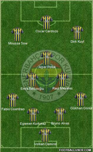 Fenerbahçe SK Formation 2013