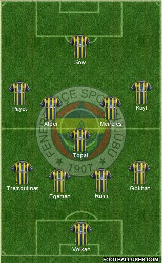 Fenerbahçe SK Formation 2013