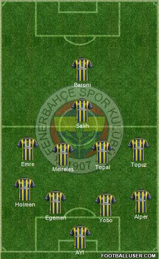 Fenerbahçe SK Formation 2013