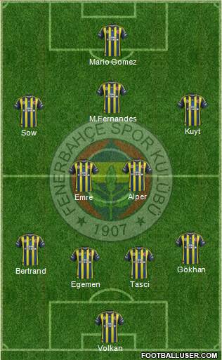 Fenerbahçe SK Formation 2013