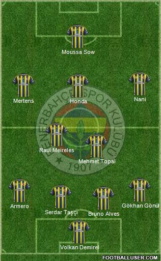 Fenerbahçe SK Formation 2013