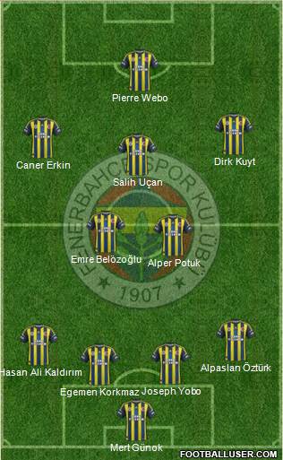 Fenerbahçe SK Formation 2013