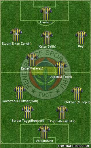 Fenerbahçe SK Formation 2013