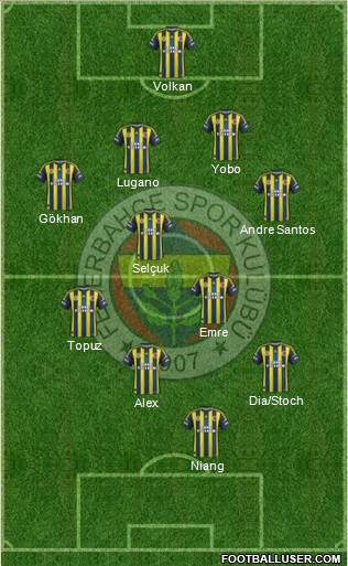 Fenerbahçe SK Formation 2013
