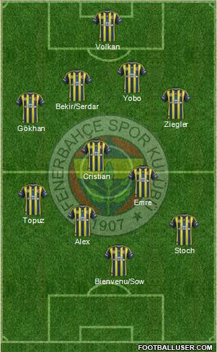 Fenerbahçe SK Formation 2013