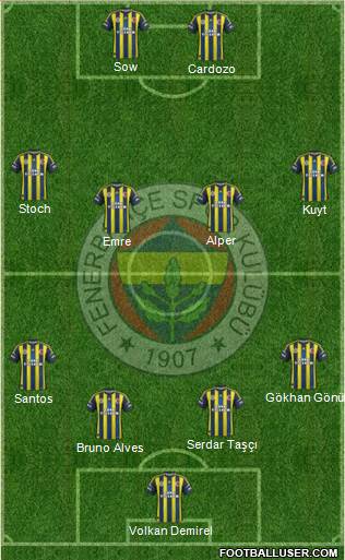 Fenerbahçe SK Formation 2013