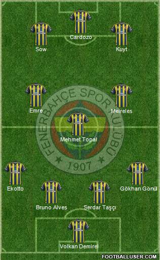 Fenerbahçe SK Formation 2013
