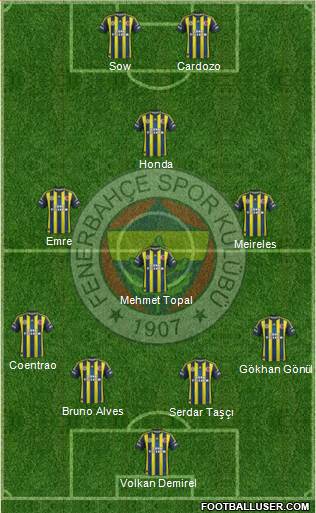 Fenerbahçe SK Formation 2013
