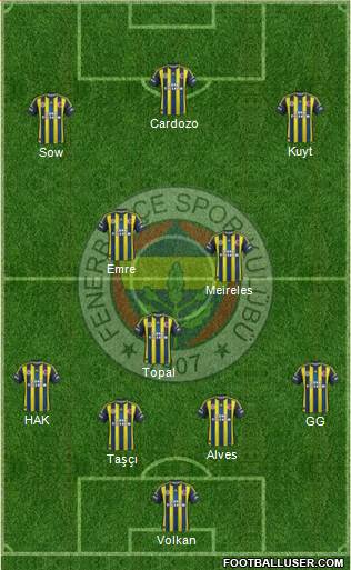 Fenerbahçe SK Formation 2013