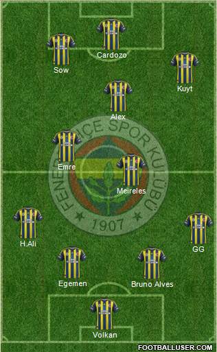 Fenerbahçe SK Formation 2013