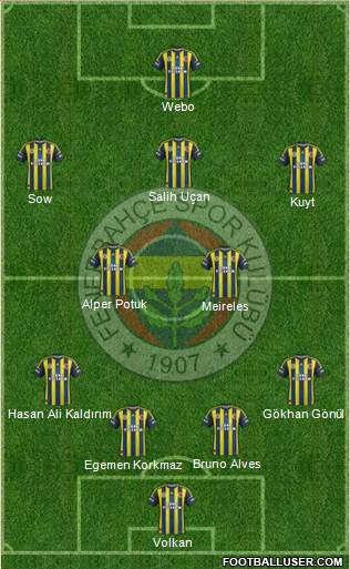 Fenerbahçe SK Formation 2013