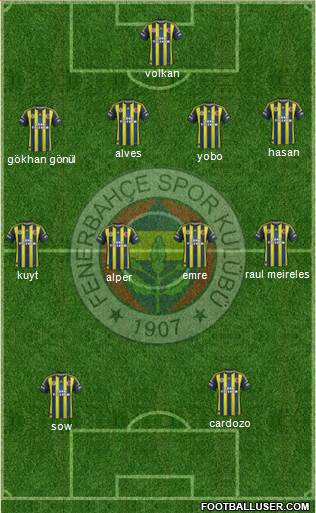Fenerbahçe SK Formation 2013