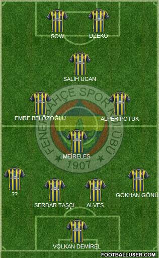 Fenerbahçe SK Formation 2013
