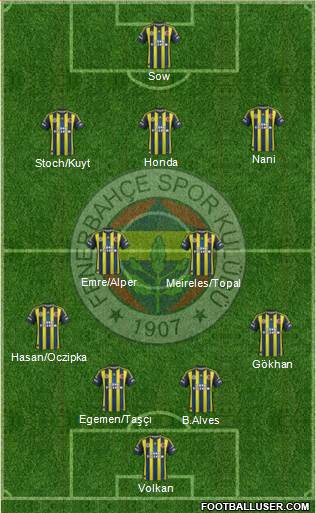 Fenerbahçe SK Formation 2013
