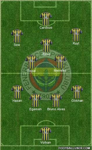 Fenerbahçe SK Formation 2013