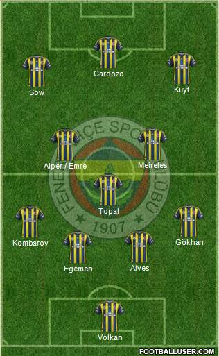 Fenerbahçe SK Formation 2013