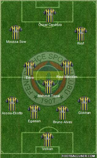 Fenerbahçe SK Formation 2013