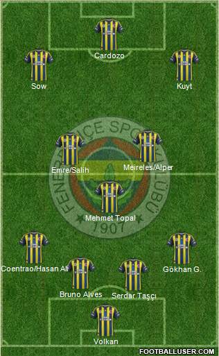 Fenerbahçe SK Formation 2013