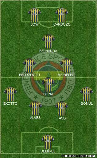 Fenerbahçe SK Formation 2013