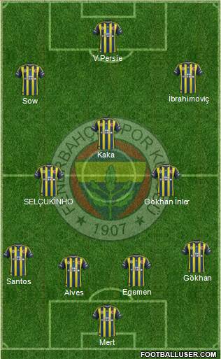 Fenerbahçe SK Formation 2013