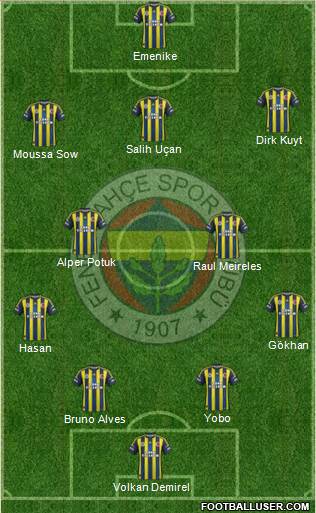 Fenerbahçe SK Formation 2013