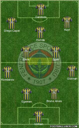 Fenerbahçe SK Formation 2013
