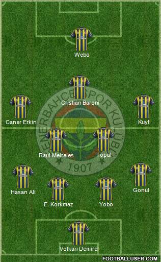 Fenerbahçe SK Formation 2013