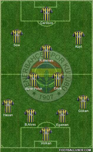 Fenerbahçe SK Formation 2013