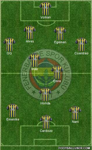 Fenerbahçe SK Formation 2013