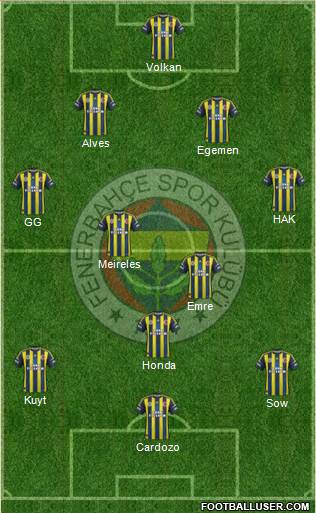 Fenerbahçe SK Formation 2013