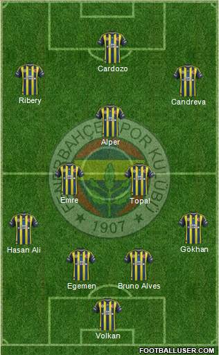 Fenerbahçe SK Formation 2013