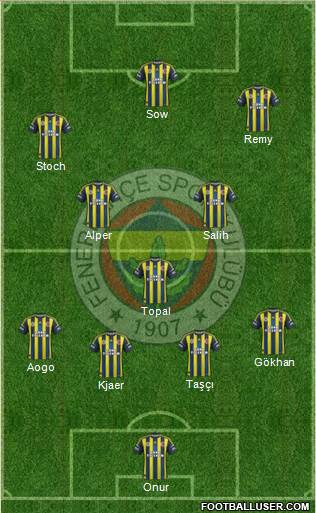 Fenerbahçe SK Formation 2013