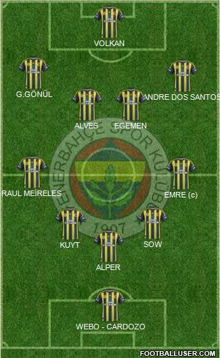 Fenerbahçe SK Formation 2013