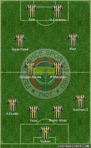 Fenerbahçe SK Formation 2013