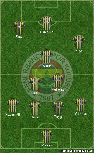 Fenerbahçe SK Formation 2013