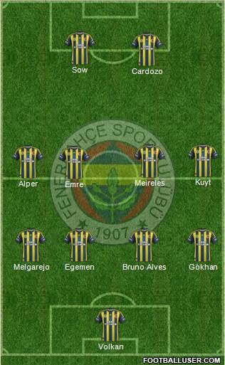 Fenerbahçe SK Formation 2013