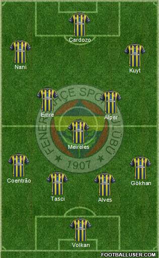 Fenerbahçe SK Formation 2013