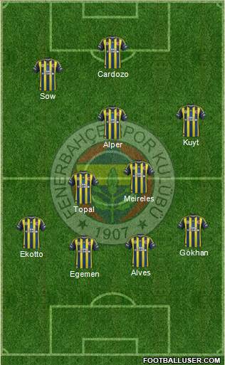 Fenerbahçe SK Formation 2013
