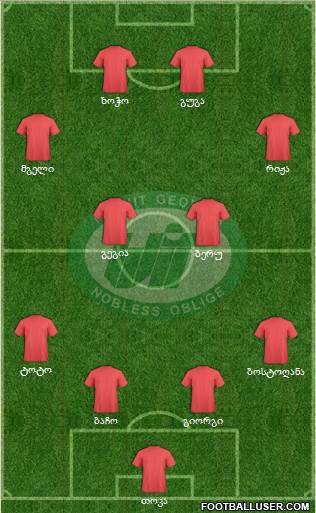 WIT-Georgia Tbilisi Formation 2013